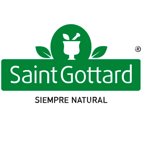 Saint Gottard