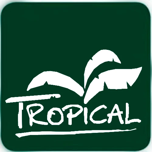 Tropical Aloe