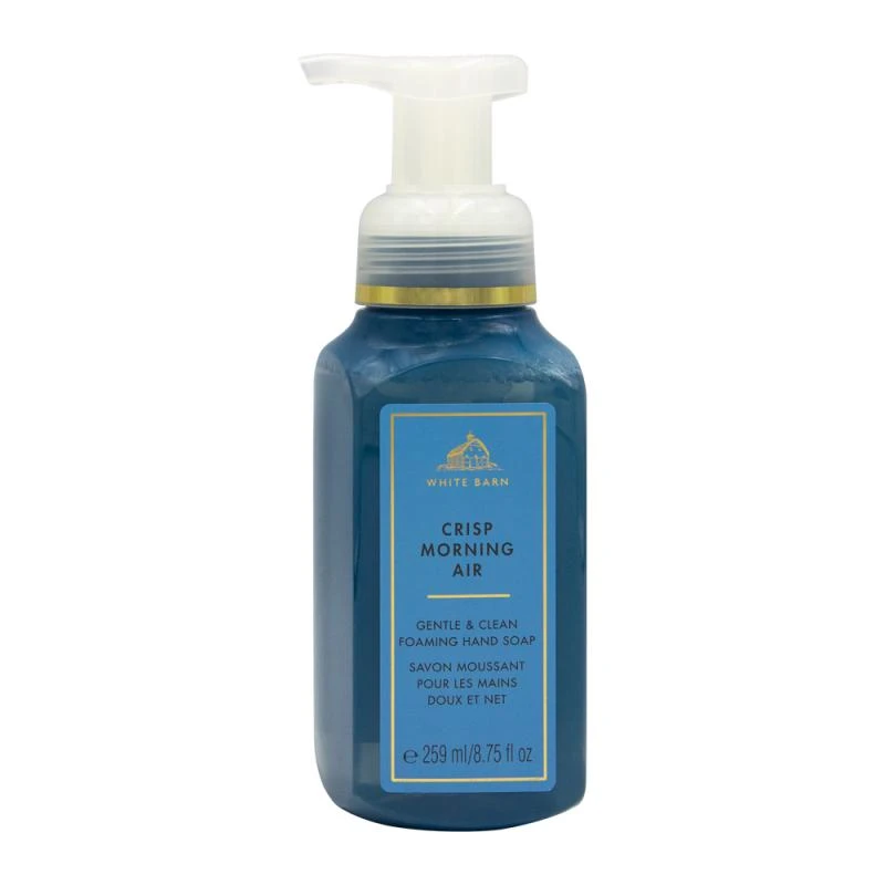 Sabonete Líquido em Espuma Bath & Body Works Crips Morning Air 259Ml